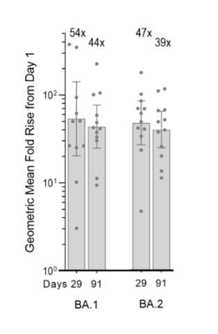 Figure 1: Exploratory pseudovirus microneutralization (MNT) assay results (left: BA.1, right: BA.2), showing GMFR levels of neutralizing antibody responses over Day 1 (baseline levels prior to boosting with ARCT-154) calculated with virus neutralization concentrations (with <percent>95%</percent> confidence intervals) obtained for participants (for BA.1 and BA.2: n = 12/12, Day 91). (Graphic: Business Wire)